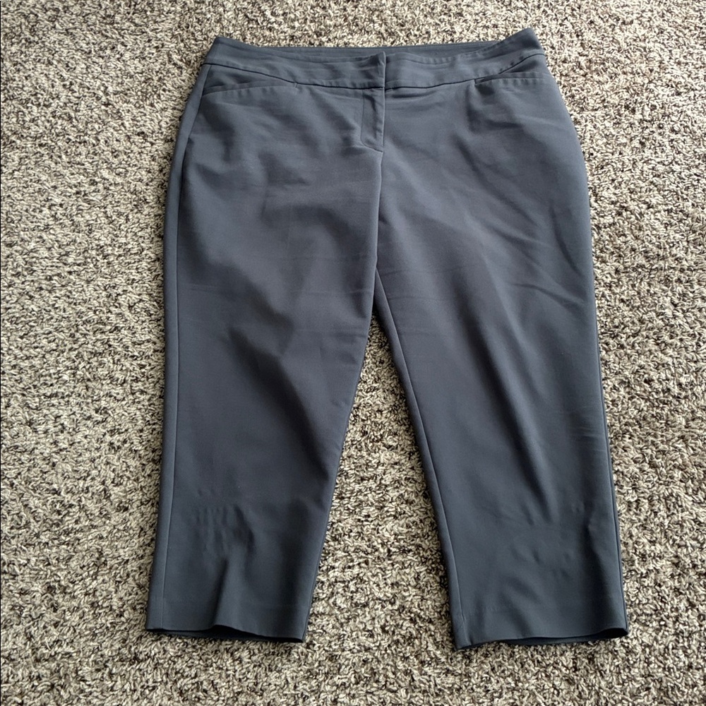 apt 9 Essentials Stretch Cropped Pants Capris Gray Plus SZ 16